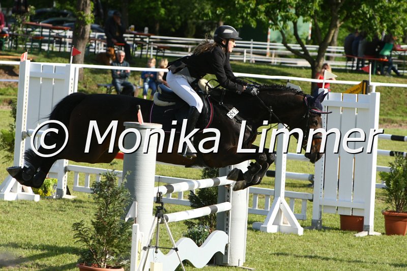 204M1820_Kaitana_Stil Axx.JPG